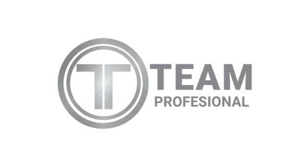 TEAM PROFESIONAL S.A.S