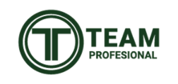 TEAM PROFESIONAL S.A.S